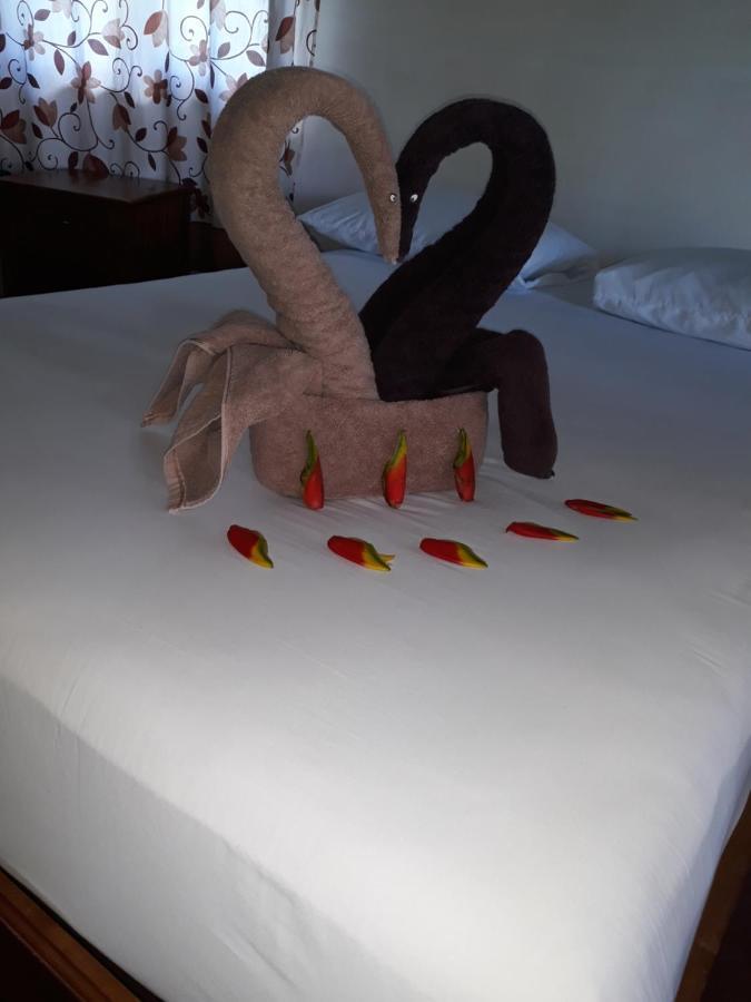 Servicios Turisticos Garra De Jaguar Conhuas Zewnętrze zdjęcie
